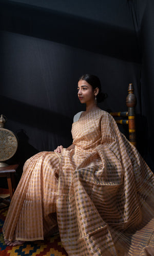 Tissue Check Sari