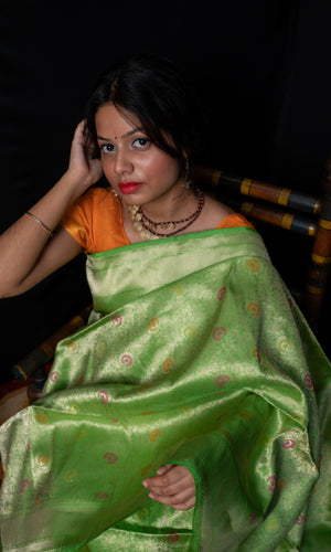 Handloom Banarasi Sari